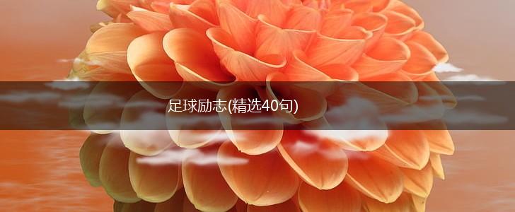 足球励志(精选40句),第1张