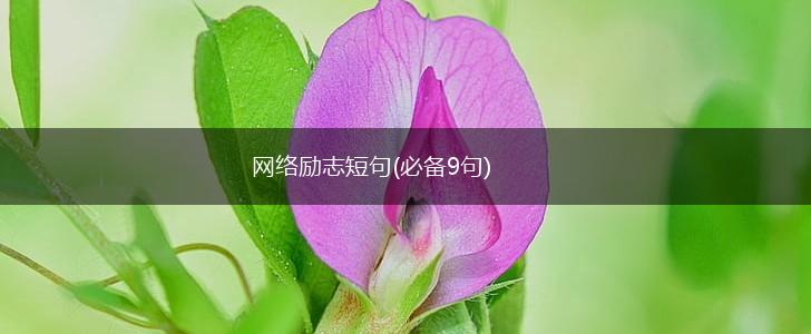 网络励志短句(必备9句),第1张 网络励志短句(必备9句),第1张