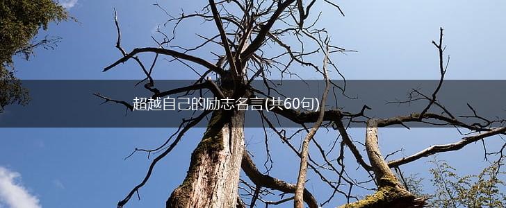 超越自己的励志名言(共60句),第1张