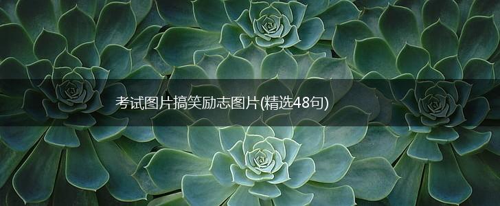 考试图片搞笑励志图片(精选48句),第1张 考试图片搞笑励志图片(精选48句),第1张