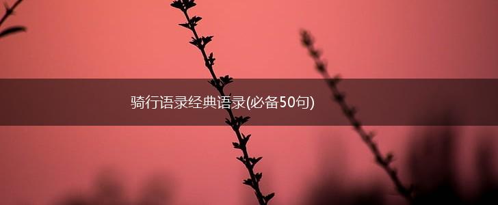骑行语录经典语录(必备50句),第1张