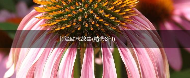 长篇励志故事(精选8句),第1张