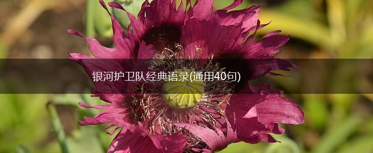 银河护卫队经典语录(通用40句),第1张