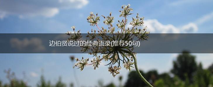 边伯贤说过的经典语录(推荐50句),第1张