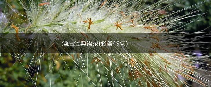 酒后经典语录(必备49句),第1张