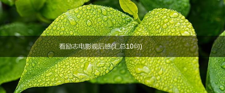 看励志电影观后感(汇总10句),第1张