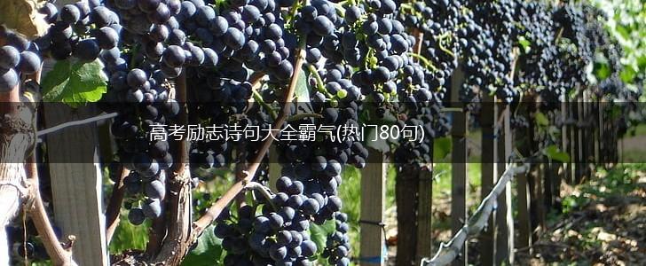 高考励志诗句大全霸气(热门80句),第1张