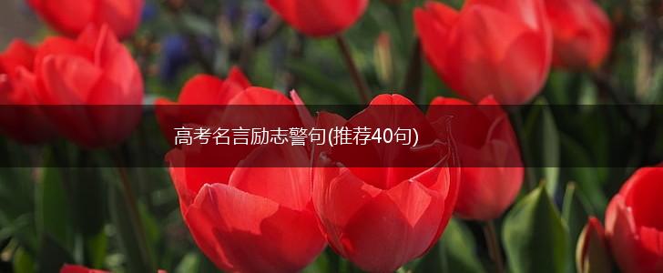 高考名言励志警句(推荐40句),第1张