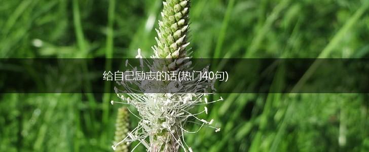 给自己励志的话(热门40句),第1张