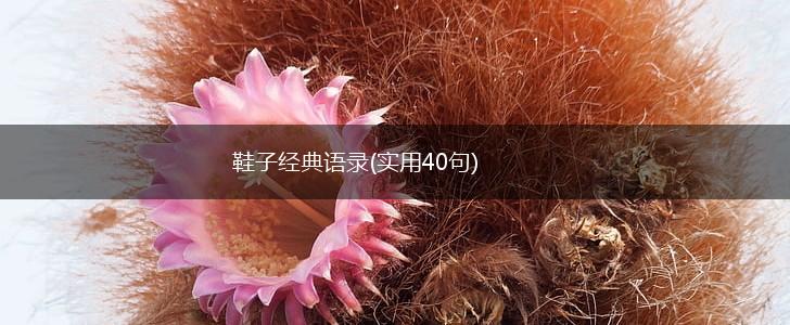 鞋子经典语录(实用40句),第1张