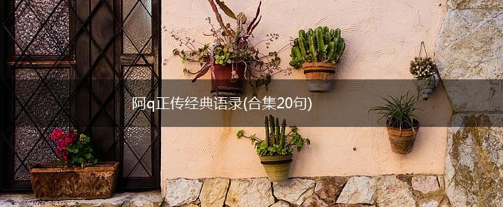 阿q正传经典语录(合集20句),第1张