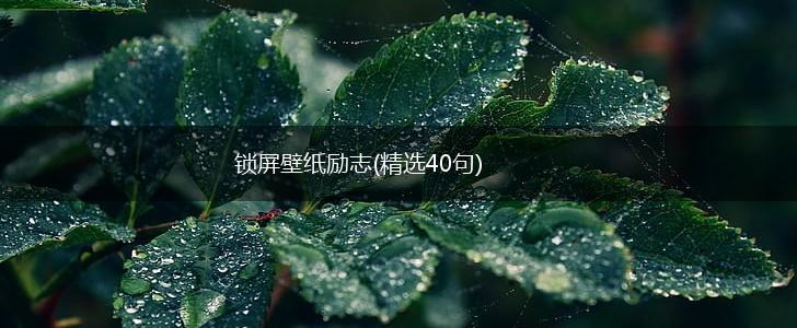 锁屏壁纸励志(精选40句),第1张