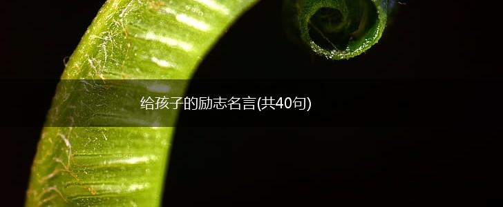 给孩子的励志名言(共40句),第1张