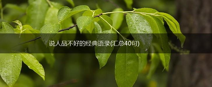 说人品不好的经典语录(汇总40句),第1张 说人品不好的经典语录(汇总40句),第1张