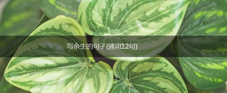 写余生的句子(通用12句),第1张