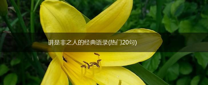 讲是非之人的经典语录(热门20句),第1张