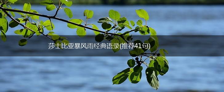 莎士比亚暴风雨经典语录(推荐41句),第1张