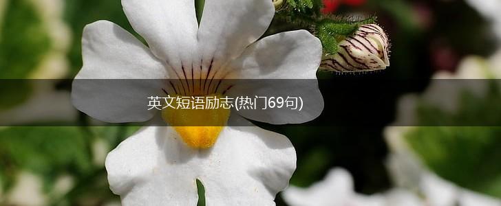 英文短语励志(热门69句),第1张