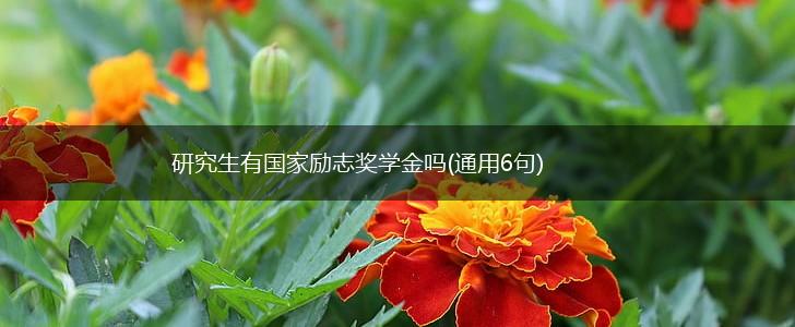 研究生有国家励志奖学金吗(通用6句),第1张 研究生有国家励志奖学金吗(通用6句),第1张