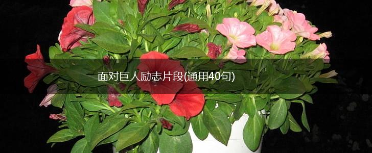 面对巨人励志片段(通用40句),第1张