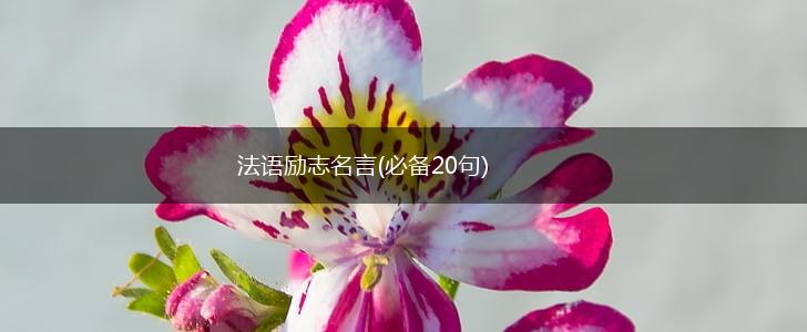 法语励志名言(必备20句),第1张