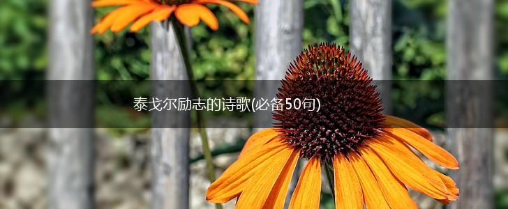 泰戈尔励志的诗歌(必备50句),第1张