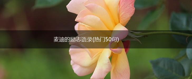 麦迪的励志语录(热门50句),第1张