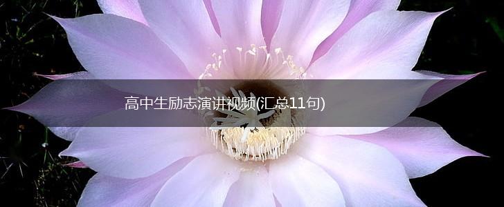 高中生励志演讲视频(汇总11句),第1张