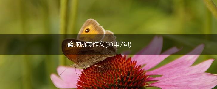 篮球励志作文(通用7句),第1张