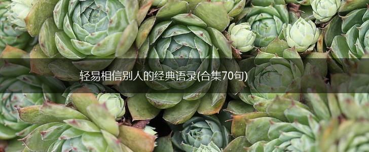 轻易相信别人的经典语录(合集70句),第1张