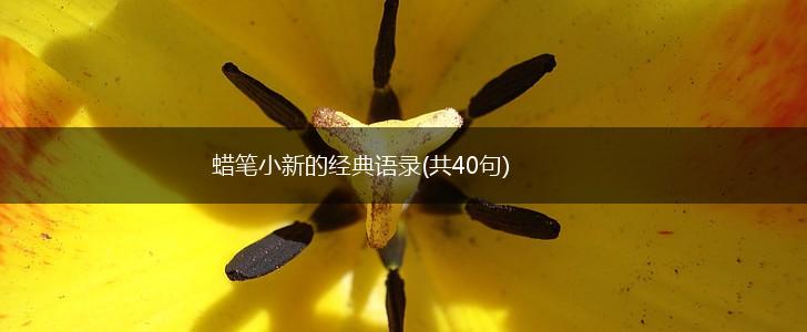 蜡笔小新的经典语录(共40句),第1张