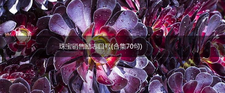 珠宝销售励志口号(合集70句),第1张