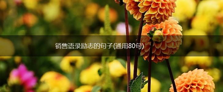 销售语录励志的句子(通用80句),第1张