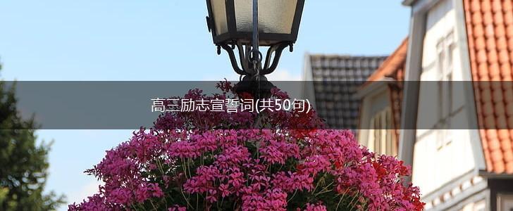高三励志宣誓词(共50句),第1张