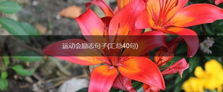 运动会励志句子(汇总40句),第1张