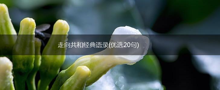 走向共和经典语录(优选20句),第1张