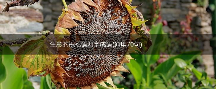 生意的祝福语四字成语(通用70句),第1张