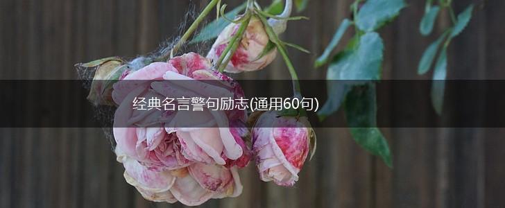 经典名言警句励志(通用60句),第1张 经典名言警句励志(通用60句),第1张