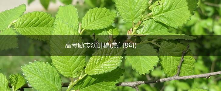 高考励志演讲稿(热门8句),第1张