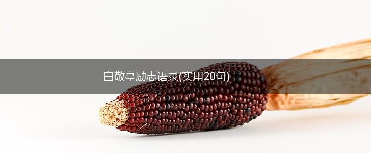 白敬亭励志语录(实用20句),第1张 白敬亭励志语录(实用20句),第1张