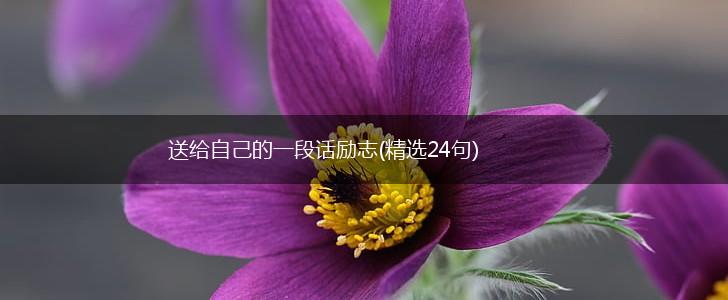 送给自己的一段话励志(精选24句),第1张
