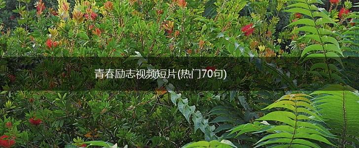 青春励志视频短片(热门70句),第1张