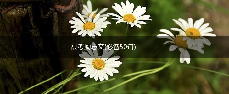 高考励志文(必备50句),第1张