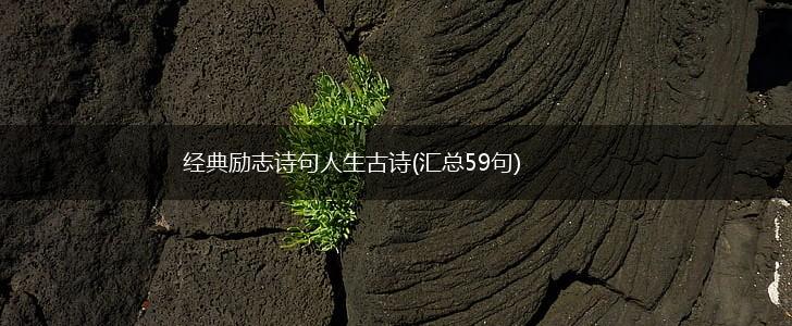 经典励志诗句人生古诗(汇总59句),第1张