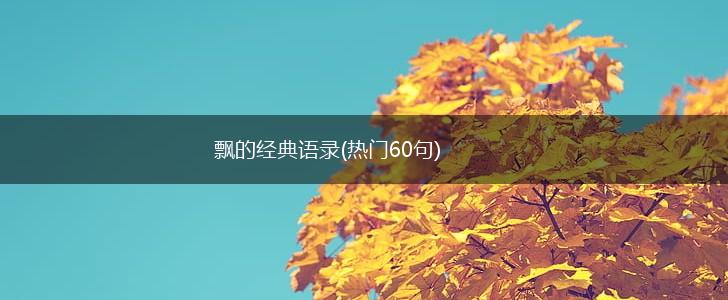 飘的经典语录(热门60句),第1张