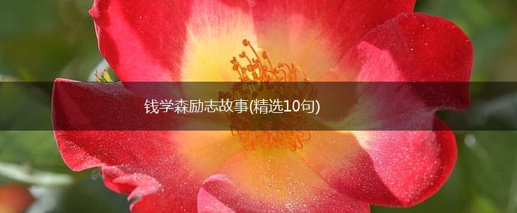 钱学森励志故事(精选10句),第1张