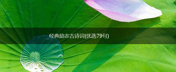 经典励志古诗词(优选79句),第1张