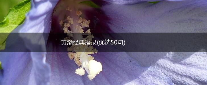 黄渤经典语录(优选50句),第1张