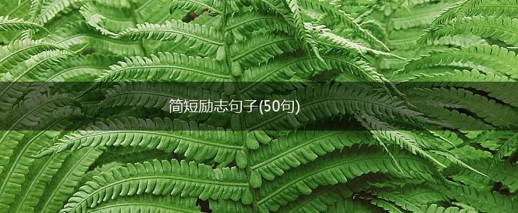简短励志句子(50句),第1张