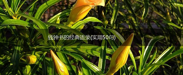 钱钟书的经典语录(实用50句),第1张
